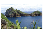 0001 Alderman Island_thumb.gif